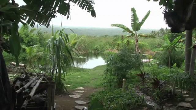 Fresh Start in Dominican Republic