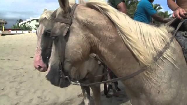 Water Culture in the DR