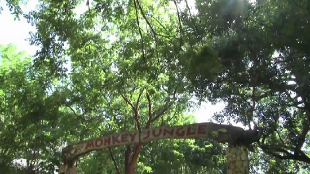 DR's Expat Do-Gooders