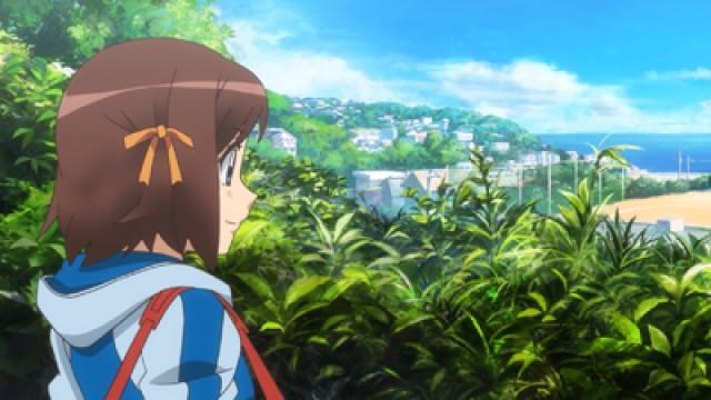 Let's Start a Girls' Cycling Club!