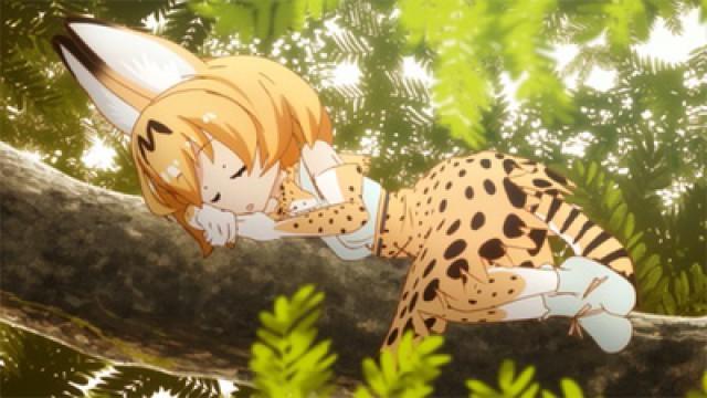 Savanna Area