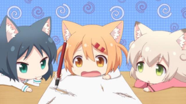 The Cats' Day 1