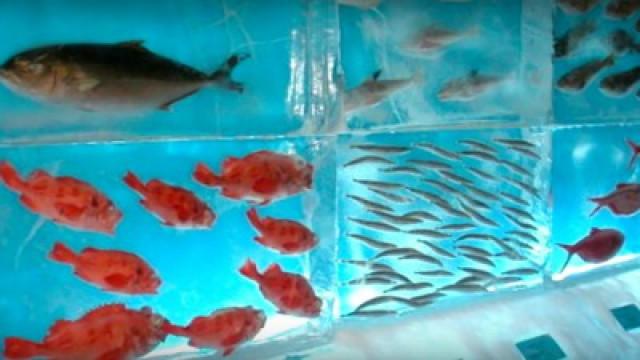 10 Curiosidades de Japón