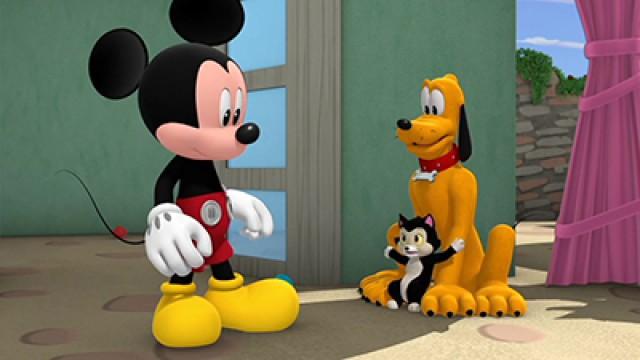 Figaro's New Friend!