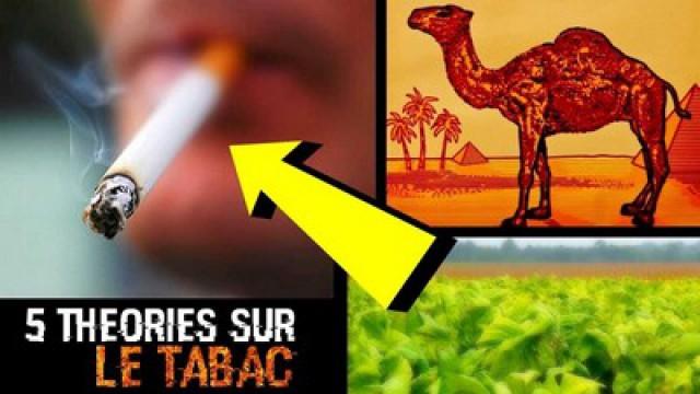 5 THEORIES SUR LE TABAC