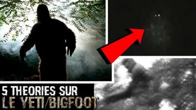 5 THÉORIES SUR LE YETI/BIGFOOT