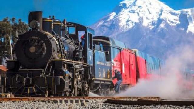 Tren Crucero