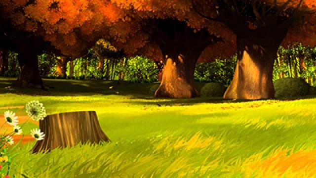 Pourquoi y a-t-il de la mousse sur les arbres