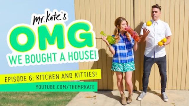 Kitchen and Kitties
