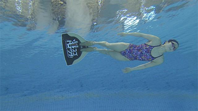A Dream Come True Special: A Record-breaking Swimfin and the Ultimate Walnut-shelling Tool