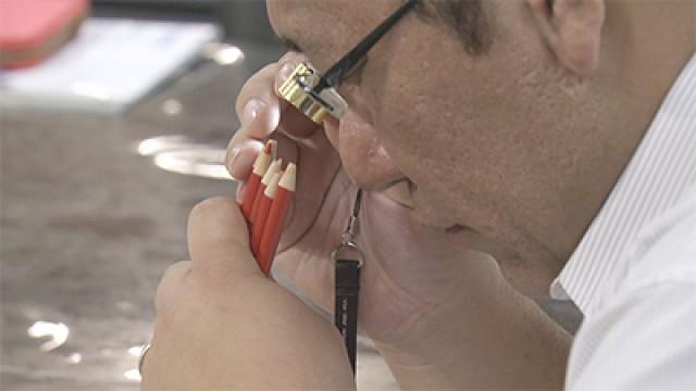 A Dream to Reality! The Unbreakable Red Pencil