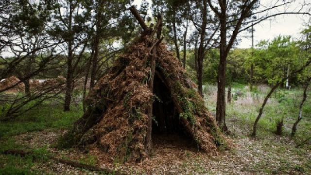 Crafting a Makeshift Shelter