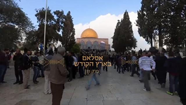 Islam in the Holy Land