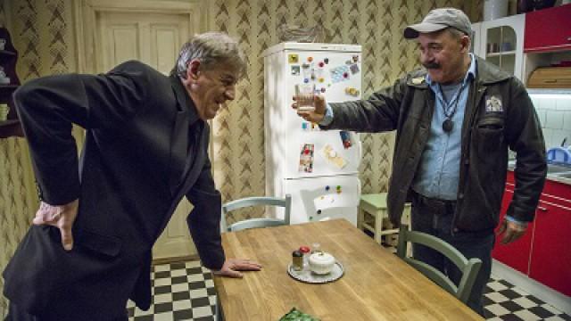 Hazatérés