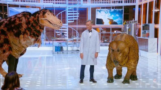 Extinction: Why All Our Friends Are Dying