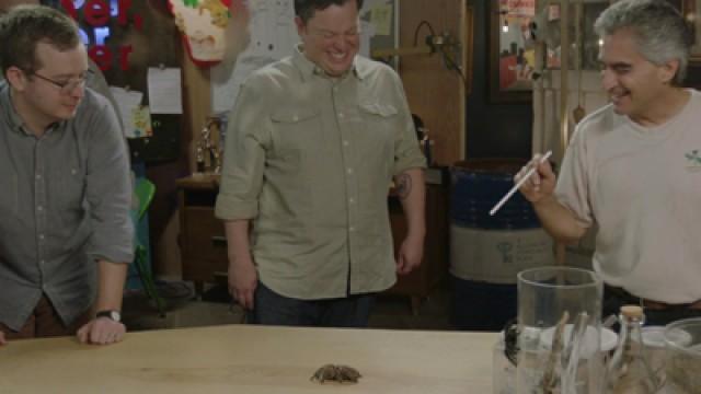 Bloopers: Episode 3 "Tarantulas & Travis Did A Hit"