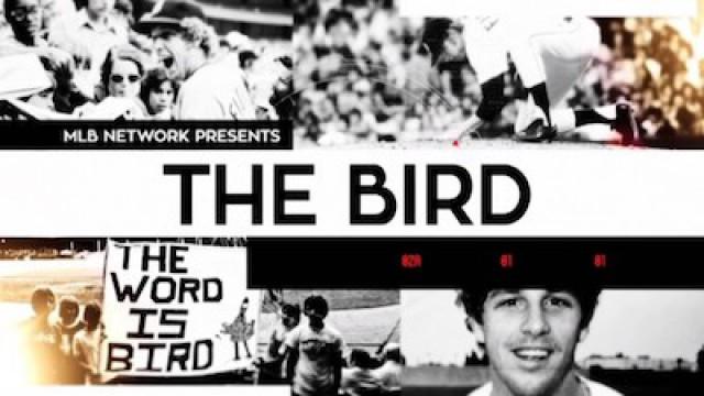 The Bird
