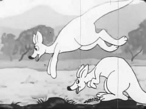 The Kangaroo Boxing Match