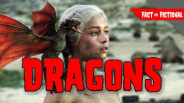 Dragons