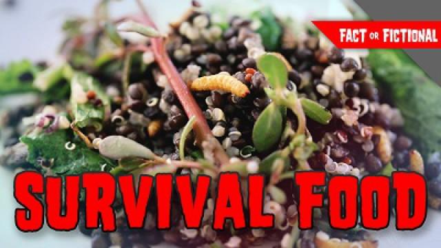 Survival Food