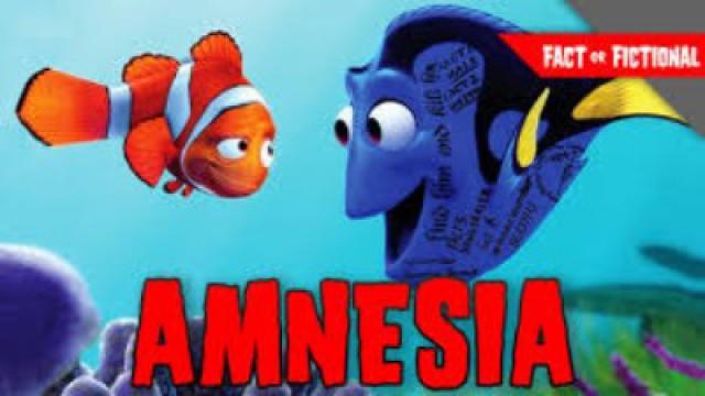 Amnesia