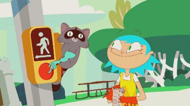 Raccoons