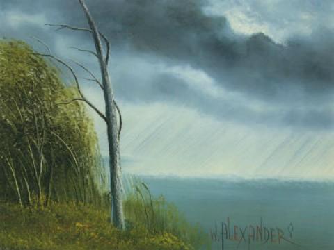 Rain