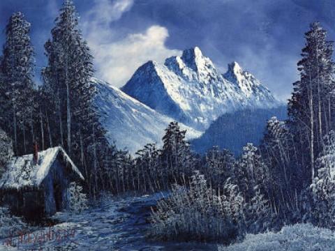 Winter Shack