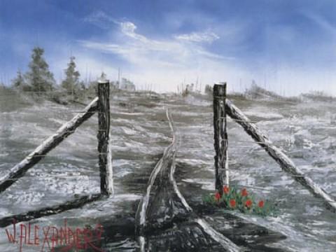 Don't Fence Me In