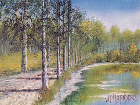 Sylvan Path