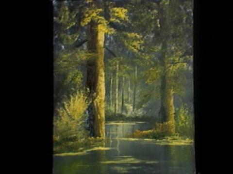 Swamp Two
