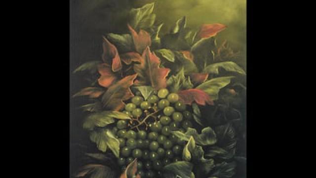 Natures Bounty