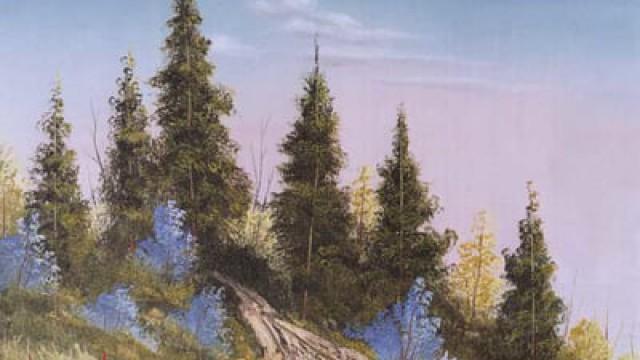 Tumalo Trail