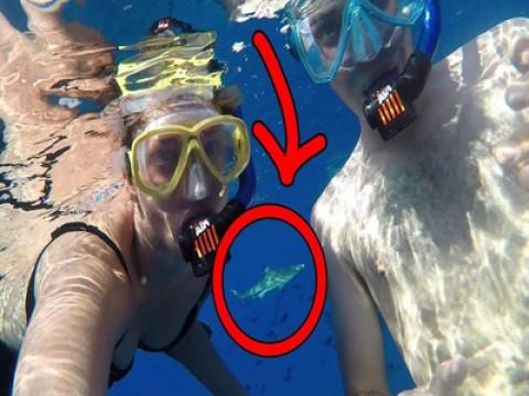 Sharks ate us lol (JackAsk #86)