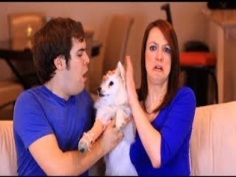 JACKASK #6