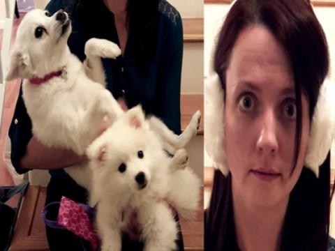 CAPTION THIS PHOTO (YIAY #246)