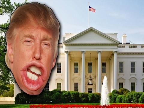What to do if Trump wins (YIAY #255)