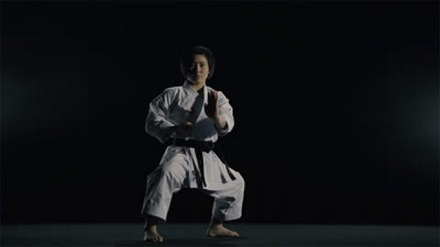Stylized movement