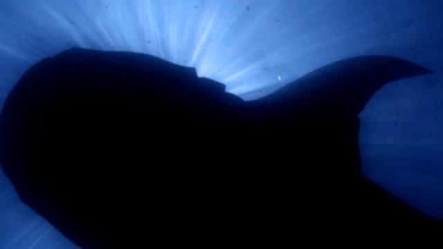 Underwater