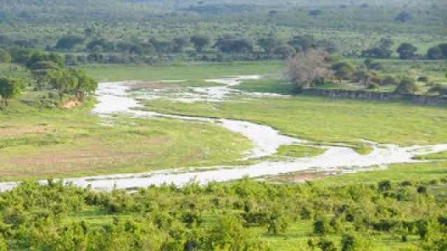 Wondrous Paradise ― Ruaha National Park, Tanzania
