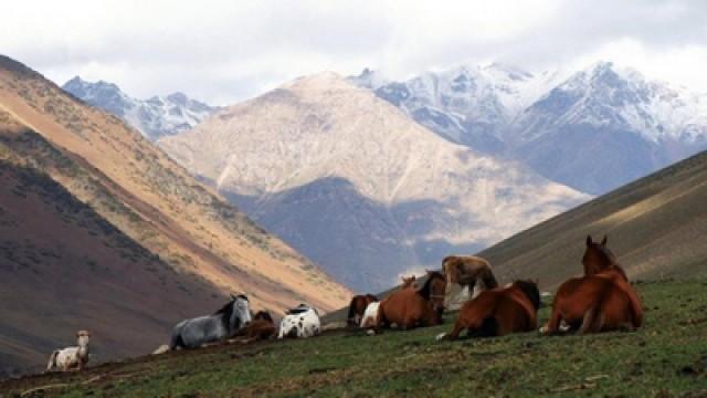 Bolivia