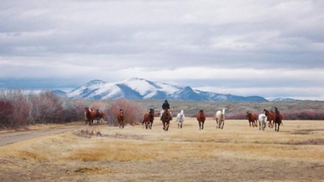 Nevada