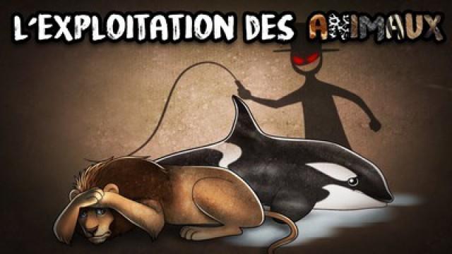 #LMPC10 - L'exploitation des ANIMAUX : le plaisir ÉGOÏSTE ?