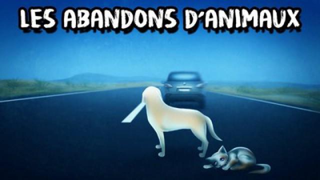 #LMPC11 : Le fléau des abandons d'animaux