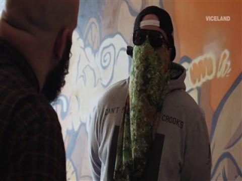 Canadian Cannabis: Candyland