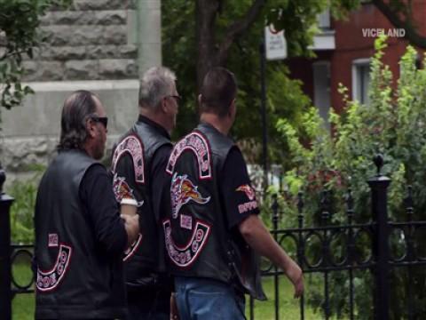 QC Bud: The Black Market's Last Stand