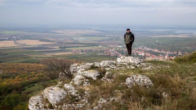 Pálava