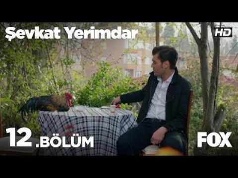 Bir gül ve dut yemis bülbül