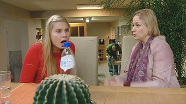 Aflevering 35