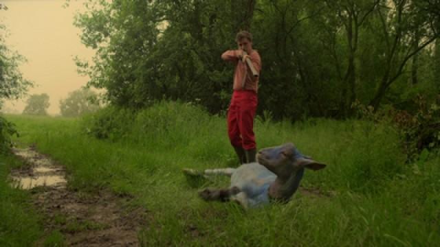 At Sainte-Bernadette, hang a bell on your goat